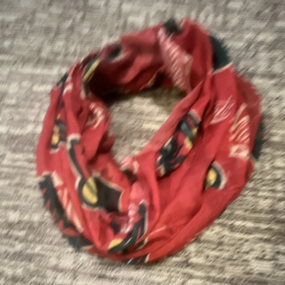 Minnesota Wild NHL Logo infinity Scarf 🧣